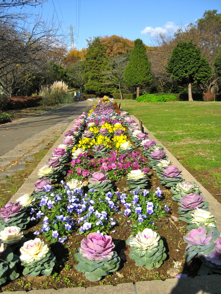 Flowerbed