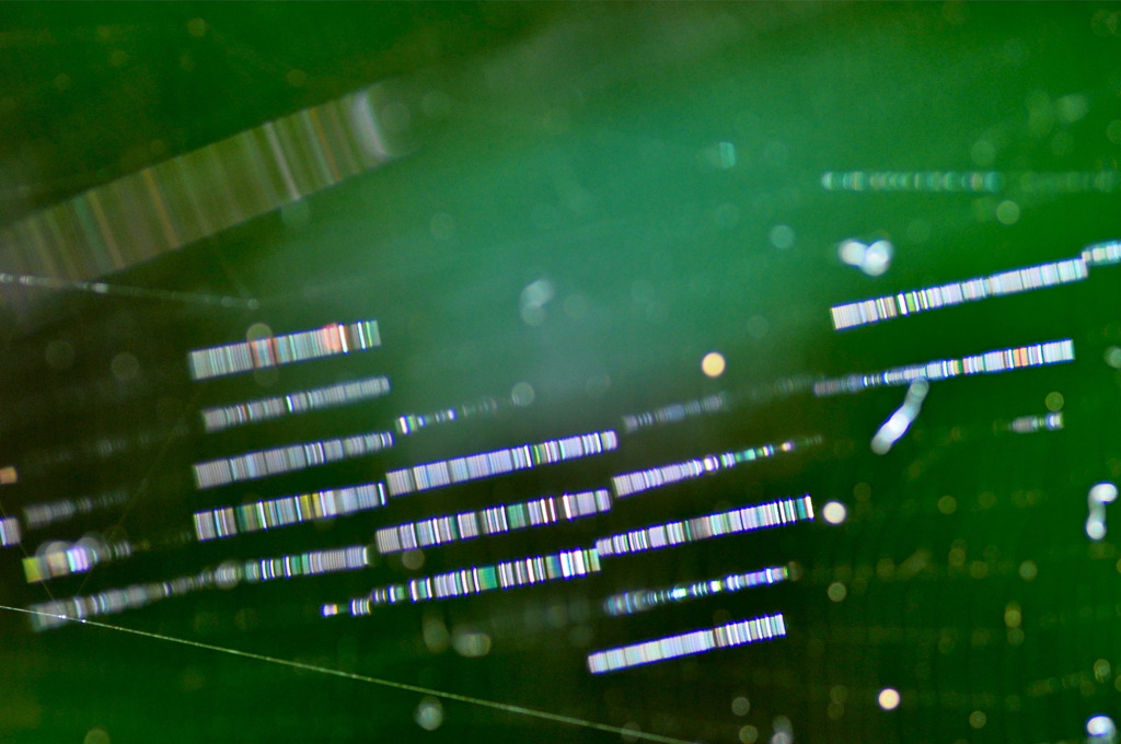 虹色バーコード