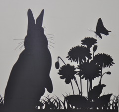 Peter Rabbit's shadow 