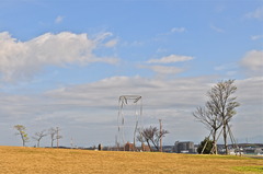 公園風景