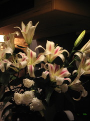 Bloom modestly