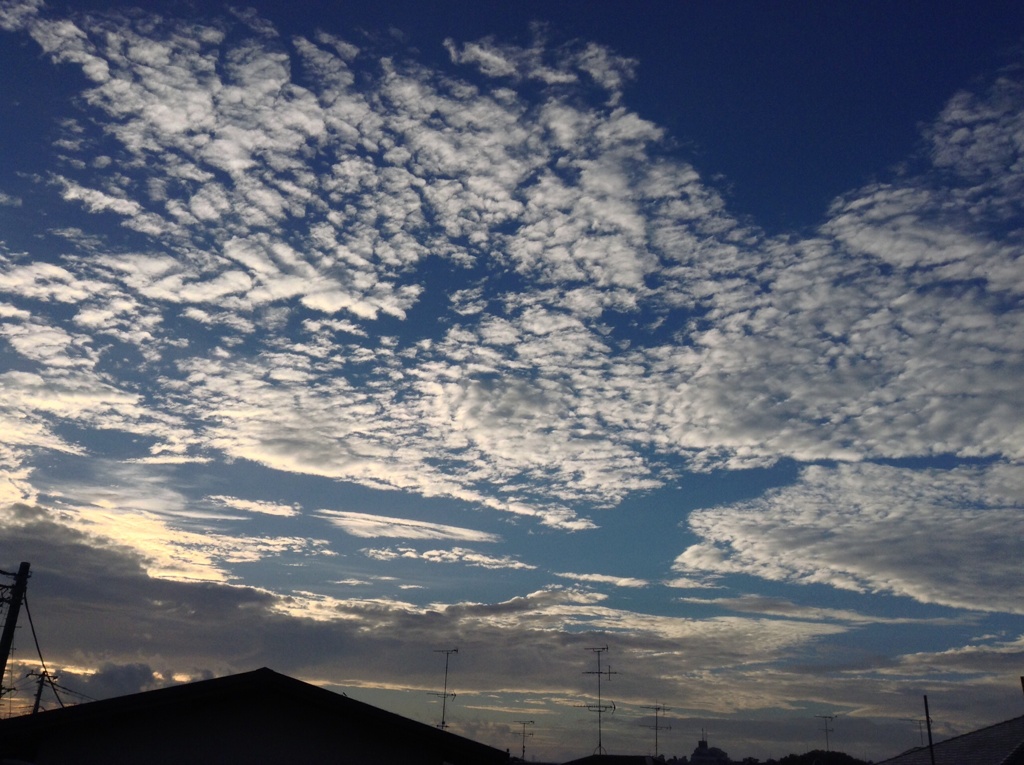 Today's sky