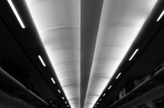 BEAM Monochrome