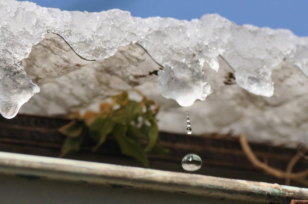 雪解雫