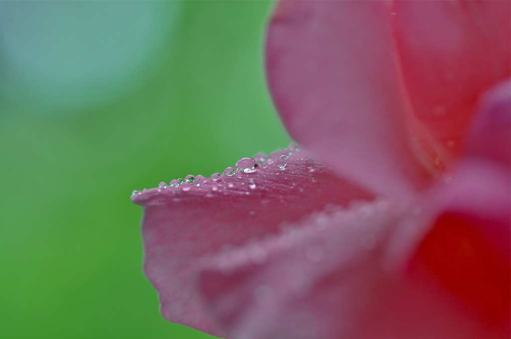 Rain Beads