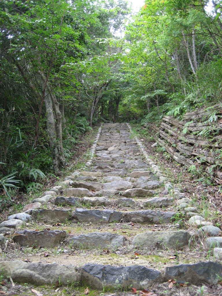Long long road