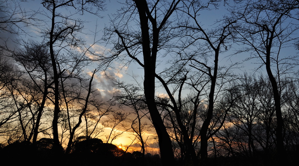 秘密基地からの夕焼け