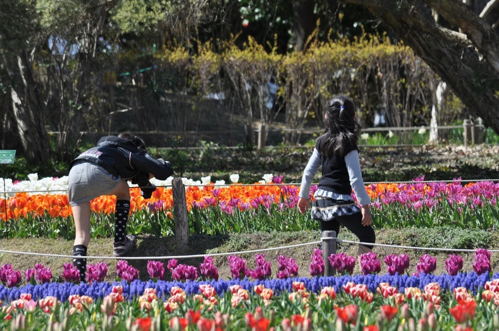 姉妹カメラマン