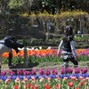 姉妹カメラマン