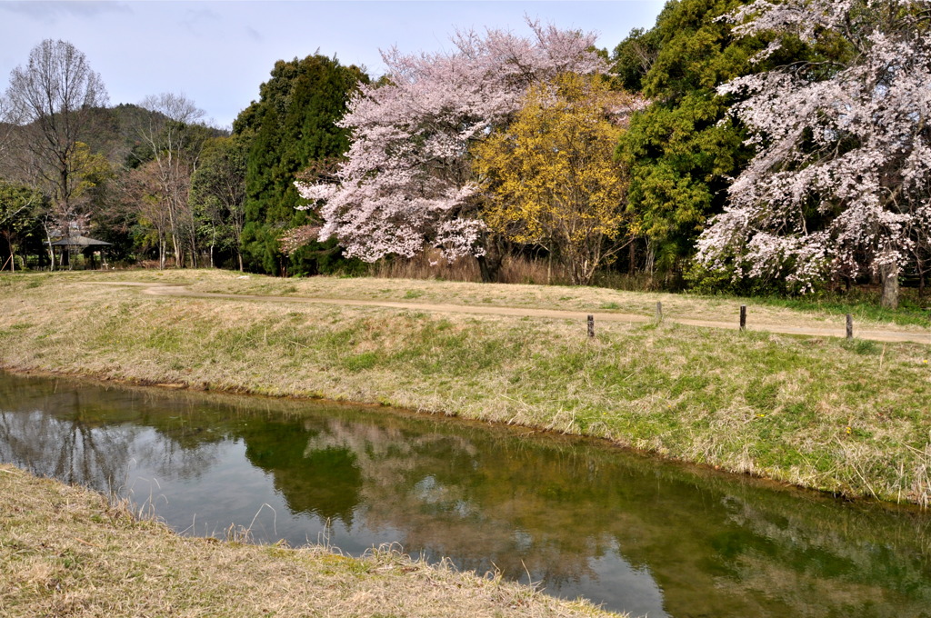 春の小川