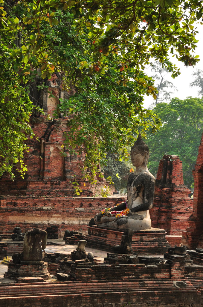 Meditation