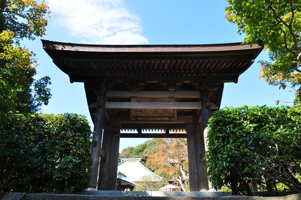 鎌倉の秋