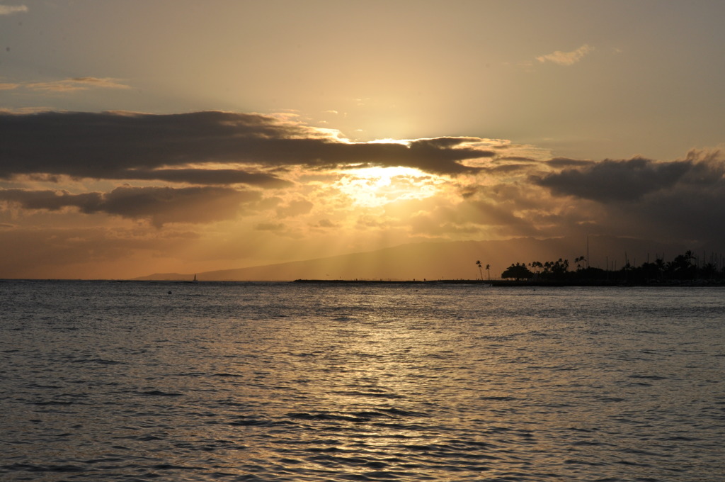 Shower of light