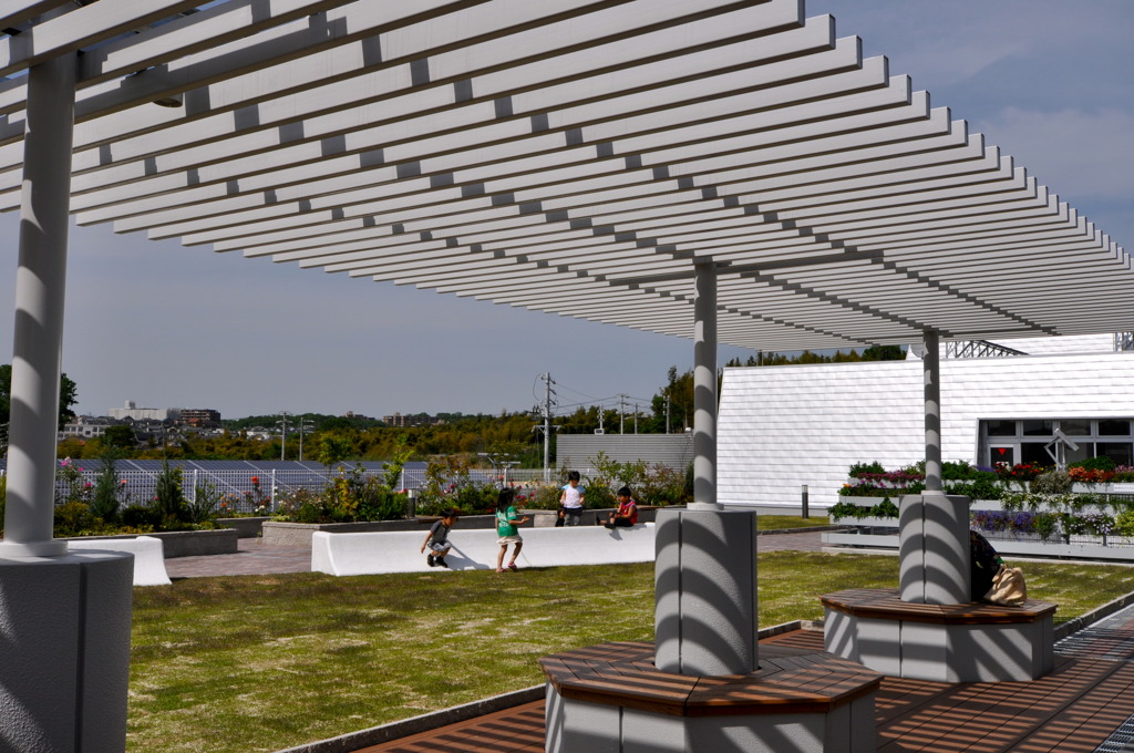Roof Garden