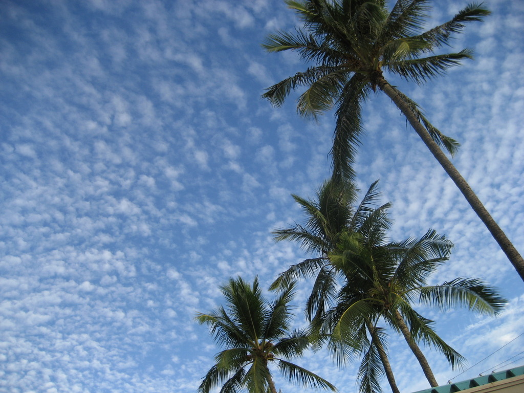 Autumn sky in Haawaii