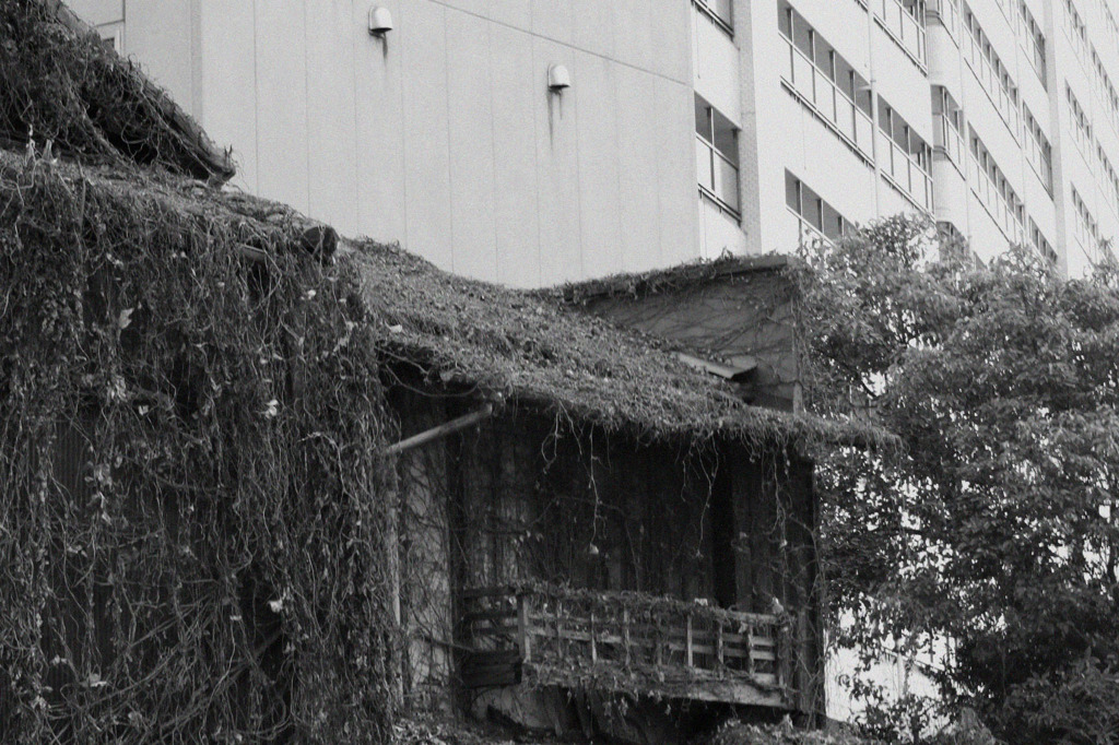 京の町：時の流れに