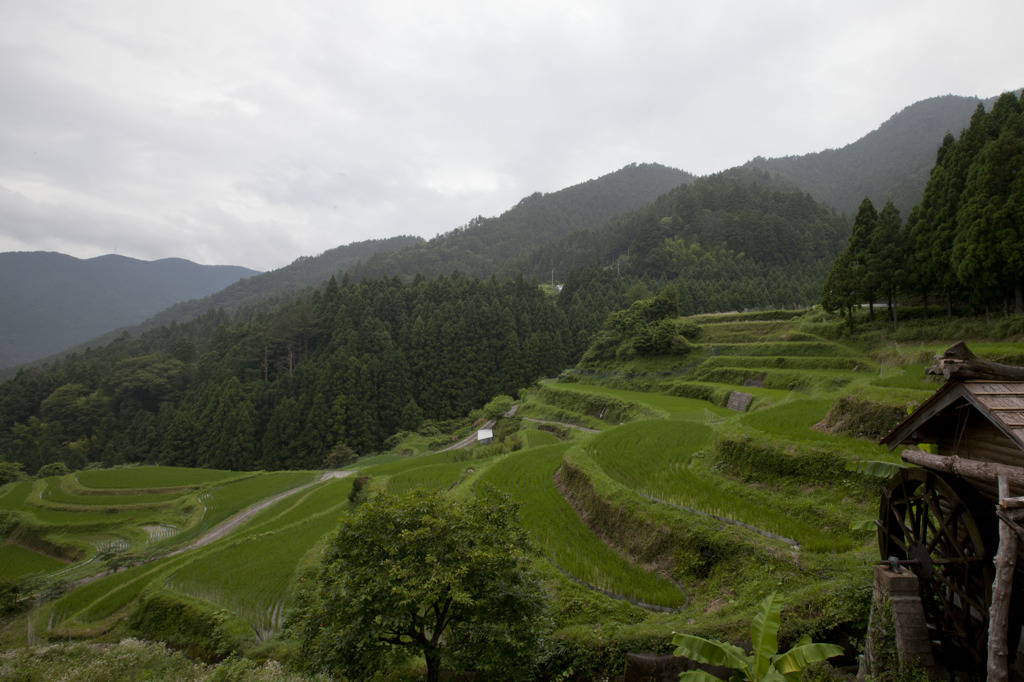 水車小屋のある棚田
