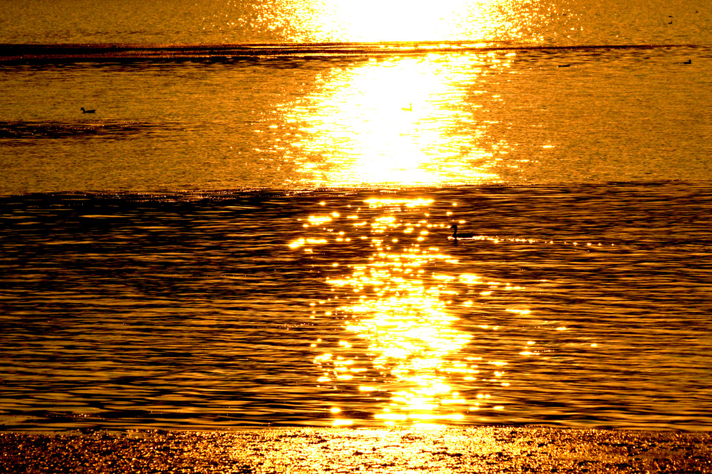 琵琶湖の夕暮れ