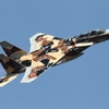 航空際in新田原基地