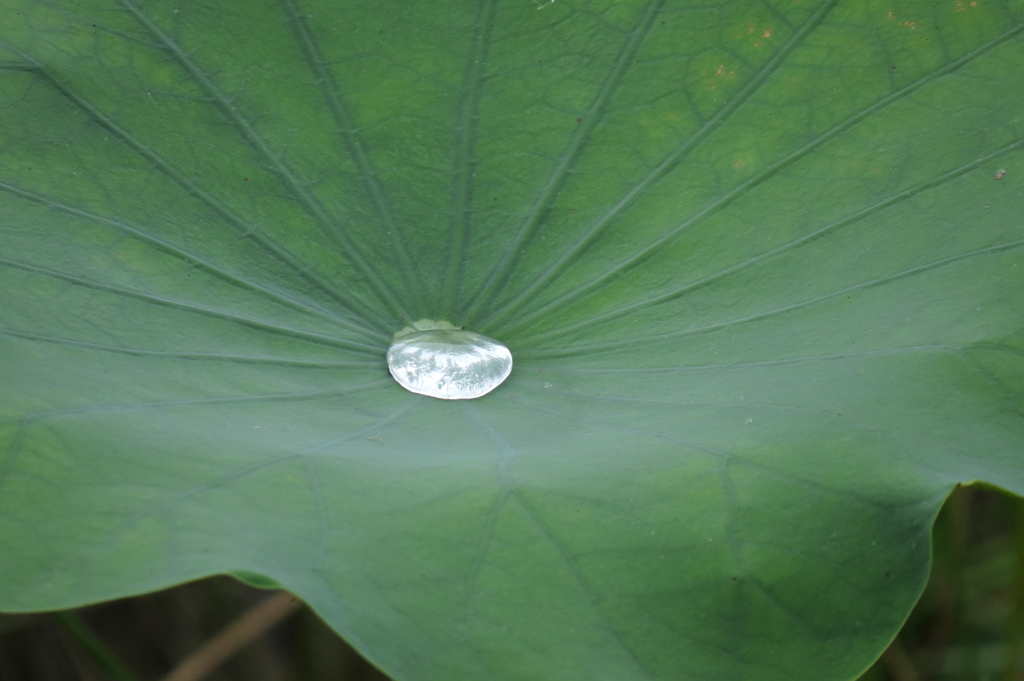 水滴