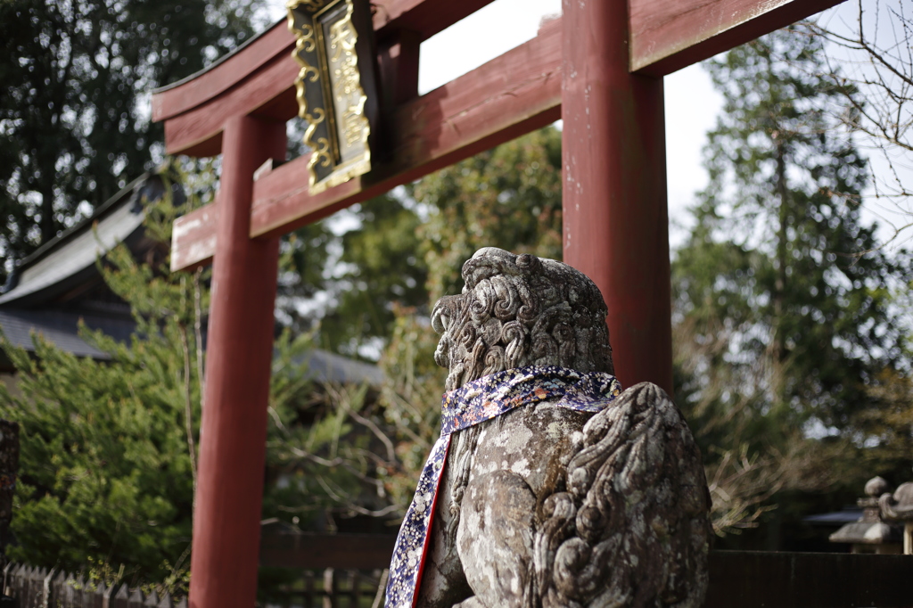 金峯山寺内の狛犬