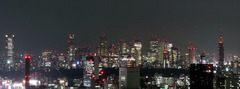 Tokyo City View!!! Night Version