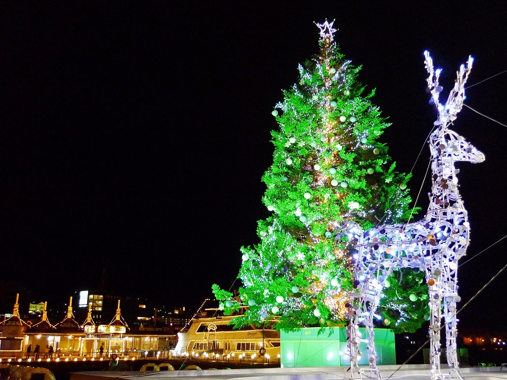 Hakodate Christmas Fantasy