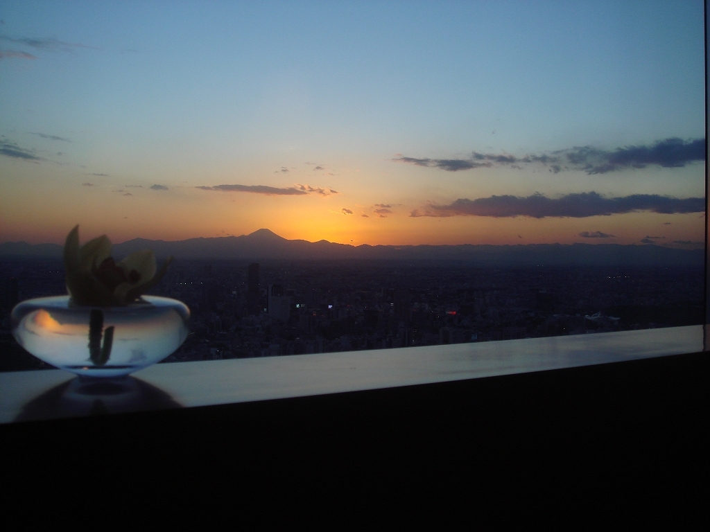 富士山を遠くに眺めながら①