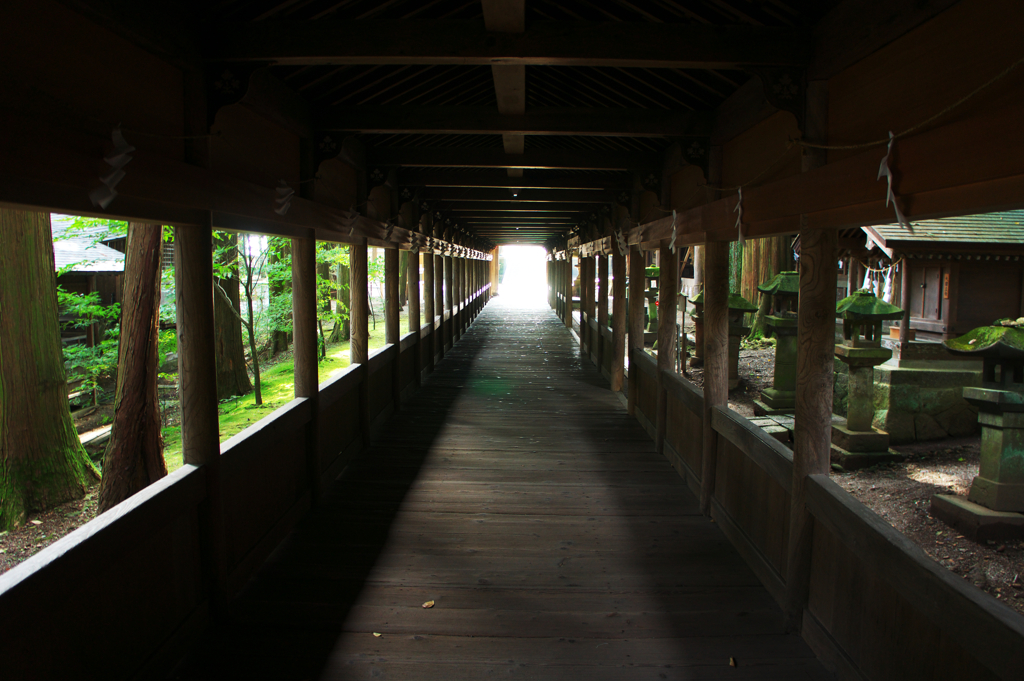 光への回廊