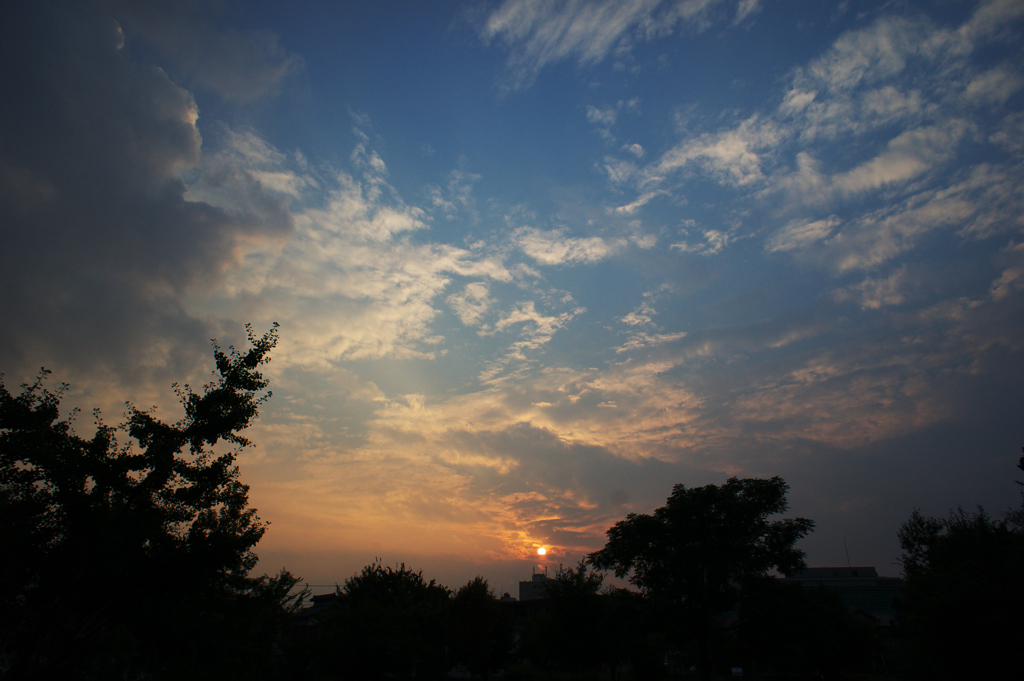 夕日