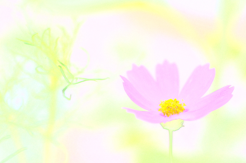 PiNK! #1