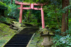 濃緑の社