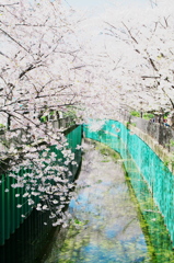 水彩