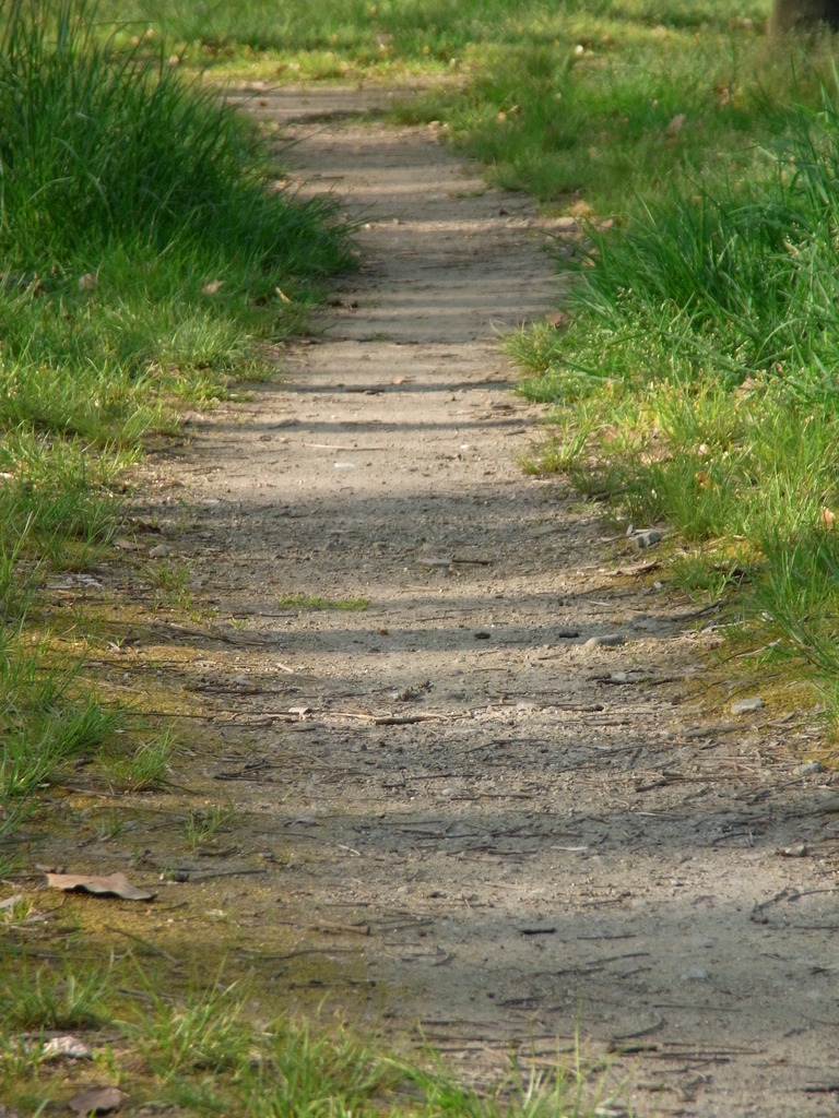 帰り道