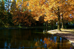 万博公園 '10