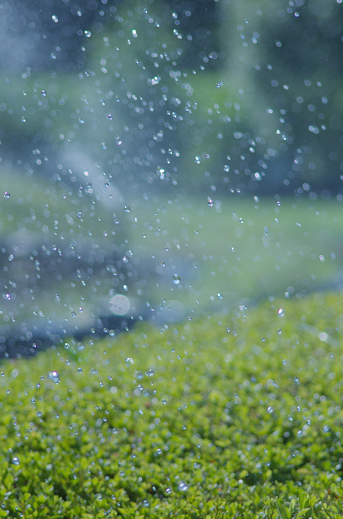 Splash!