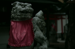 丹