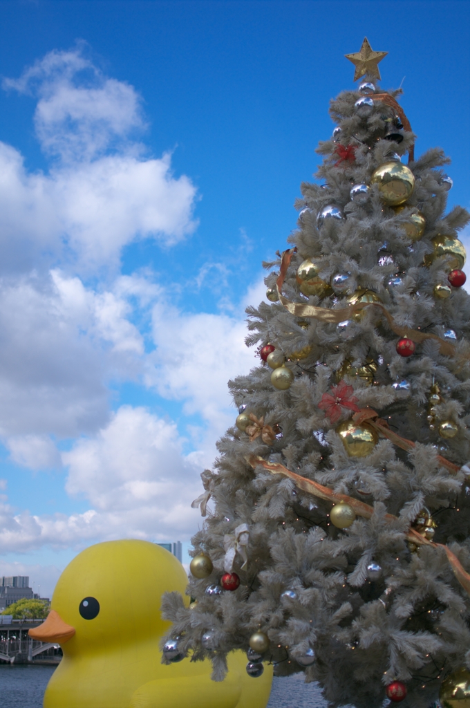 19.Dec.