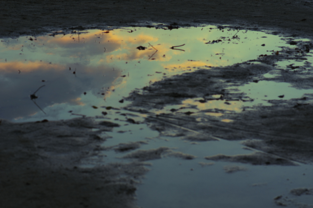 グランドのぬかるみに
