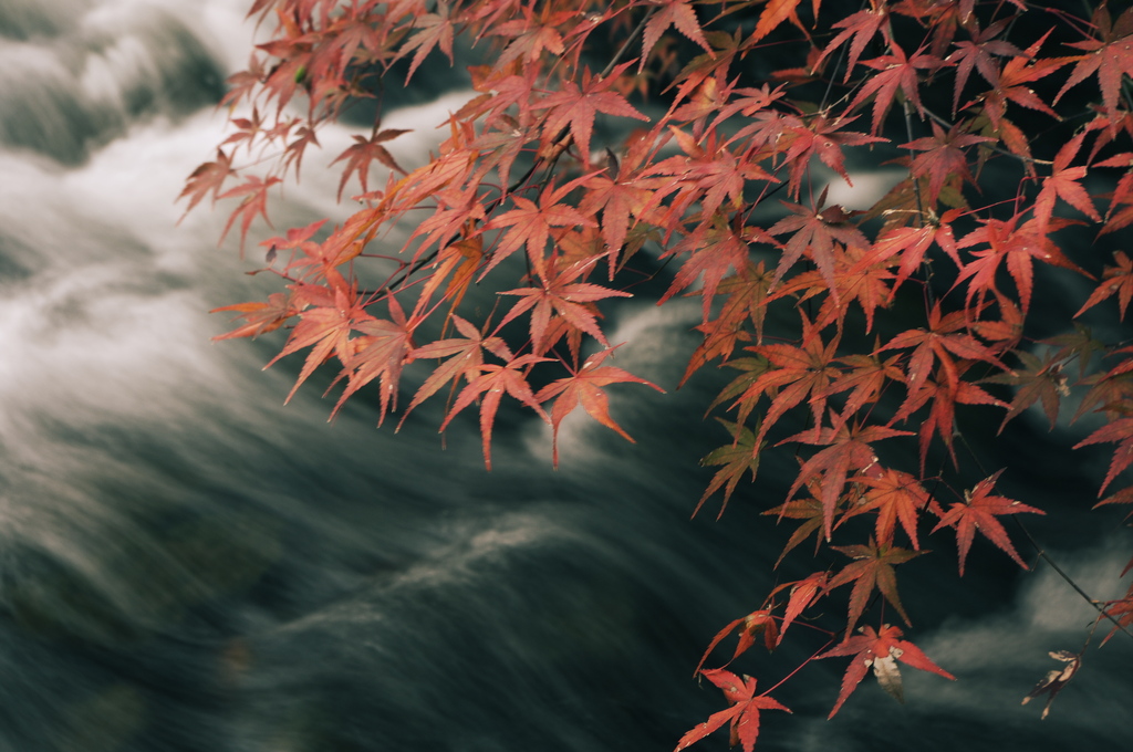 流