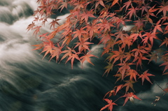 流