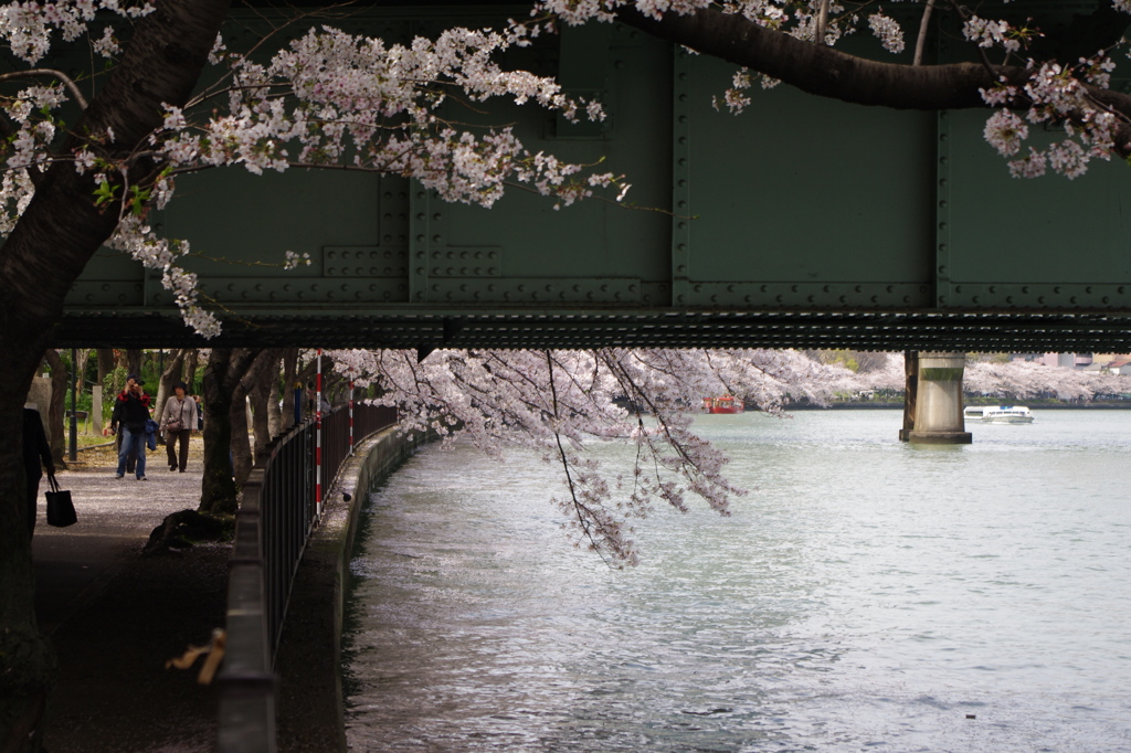 大川