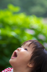 雨だ！