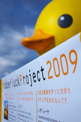 Rubber Duck Project 2009