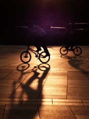 BMx2
