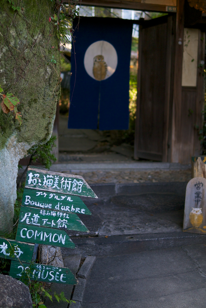 猫の細道 #4