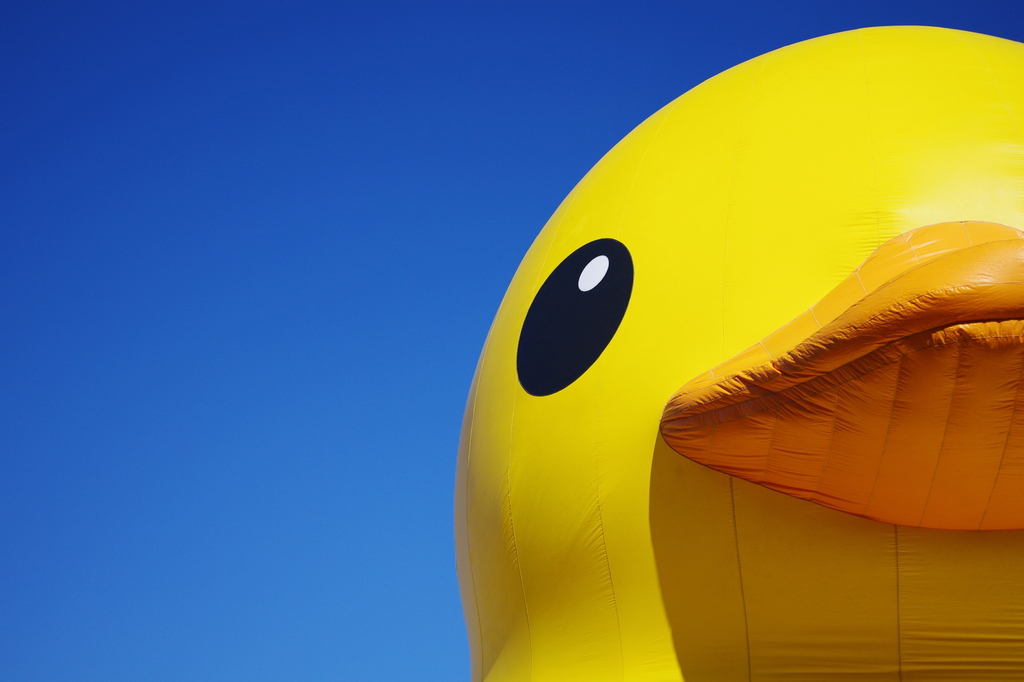 Sky blue, duck yellow