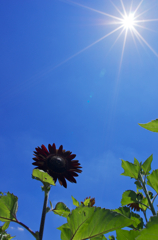Summer has come!
