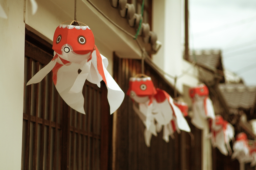 金魚の揺れる町　Western