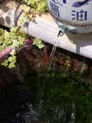 醤油？